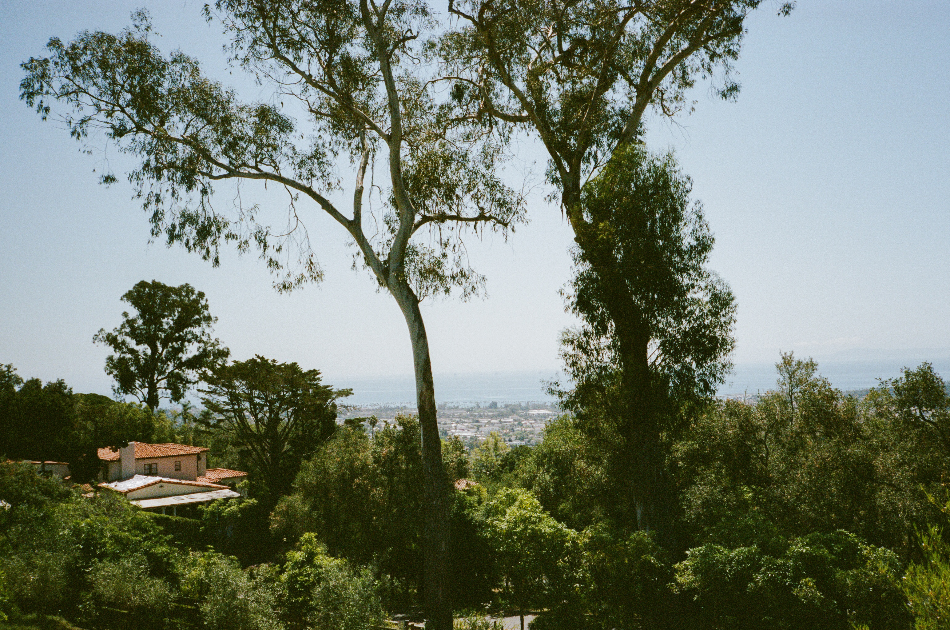 Santa Barbara